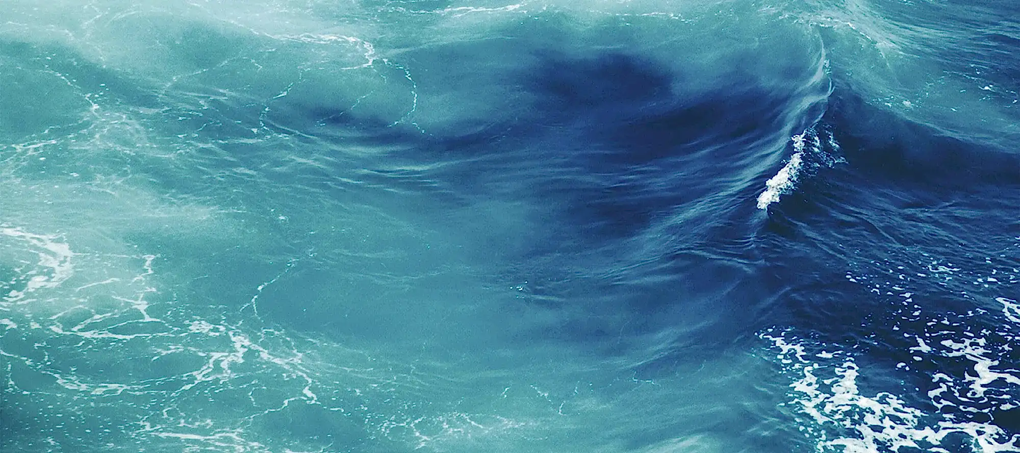 img__ocean-close-up--3600x1600