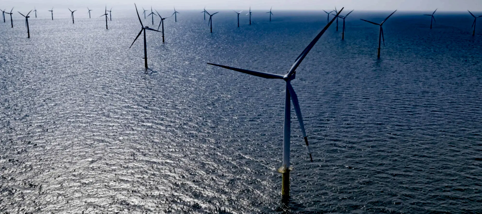 Wind farm turbines